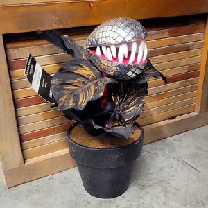 Ashland Halloween Carnivorous Plant with Black and Silver Accents. Seymore.
